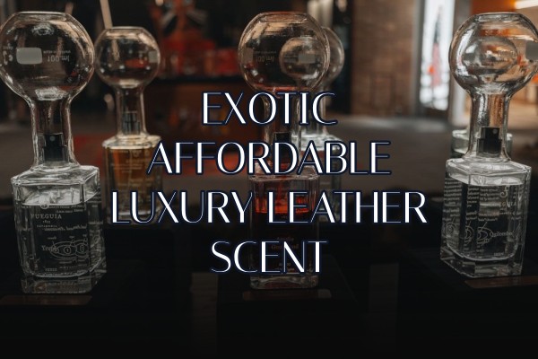 exotic affordable luxury leather scent