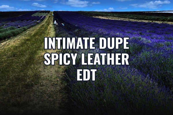 intimate dupe spicy leather edt