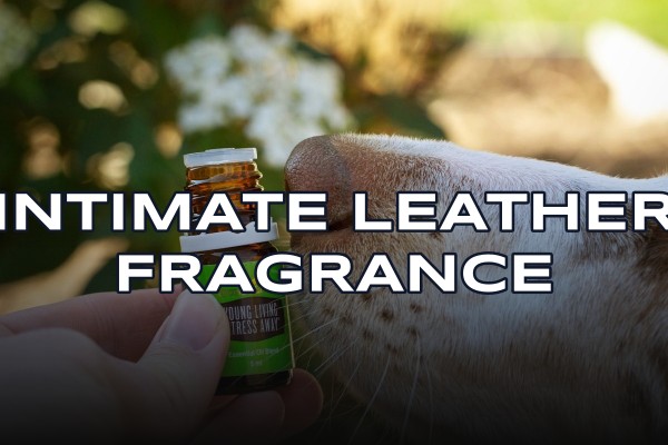 intimate leather fragrance