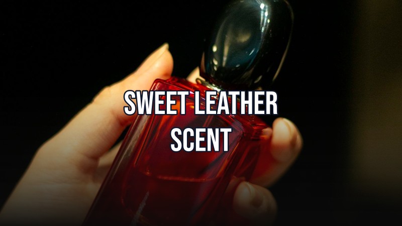 sweet leather scent
