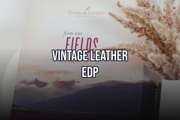 vintage leather edp